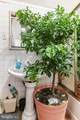 3540 5TH Street - Photo 9