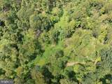  Tiger Valley Road - Photo 11