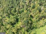  Tiger Valley Road - Photo 12