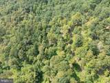  Tiger Valley Road - Photo 13
