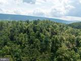  Tiger Valley Road - Photo 27