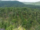  Tiger Valley Road - Photo 47