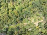  Tiger Valley Road - Photo 9