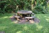 Lot 33 Dogwood Blossom Lane - Photo 10