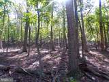  Big Horn Trail - Photo 3