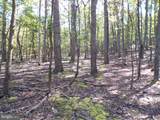  Big Horn Trail - Photo 4