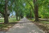 1125 Ginkgo Lane - Photo 15