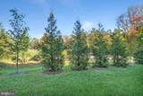 12120 American Chestnut Road - Photo 27