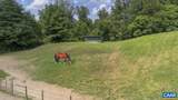 9195 Springwood Rd - Photo 23