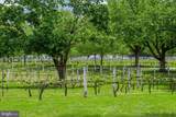 20141 Riesling Lane - Photo 74