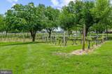 20141 Riesling Lane - Photo 75
