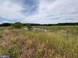 21682 Dover Bridge Road - Photo 15