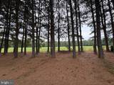 21682 Dover Bridge Road - Photo 22