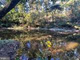  Honey Lane - Photo 13