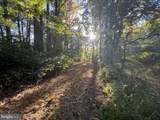  Honey Lane - Photo 14