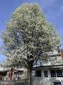 416 St. Mary's Street - Photo 26