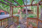 16180 Mountain Track Road - Photo 48