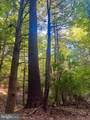 31-36 Beech Creek Mountain Road - Photo 13