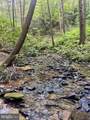 31-36 Beech Creek Mountain Road - Photo 3