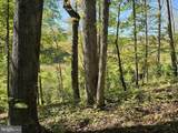  Hurt Hollow Rd - Photo 18