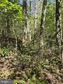  Hurt Hollow Rd - Photo 21