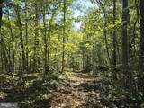  Hurt Hollow Rd - Photo 23