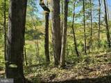  Hurt Hollow Rd - Photo 29