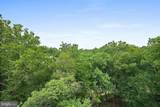 4101 Cathedral Avenue - Photo 41