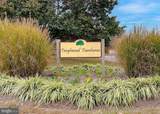 2073 Tanglewood Drive - Photo 36