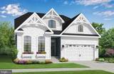 31763 Shoal Creek Lane - Photo 3