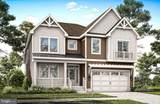 31753 Shoal Creek Lane - Photo 2