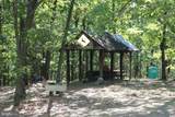 13677 Piney Ridge Rd - Photo 89