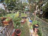 5143 Catharine Street - Photo 18