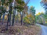  Whitetail Drive - Photo 15