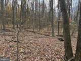 TRACT 1: 65+/- ACRES Coles Valley Rd - Photo 11