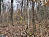 TRACT 1: 65+/- ACRES Coles Valley Rd - Photo 7