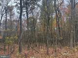 TRACT 2: 30+/- ACRES Coles Valley Rd - Photo 12