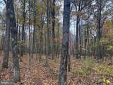 TRACT 2: 30+/- ACRES Coles Valley Rd - Photo 13