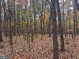 TRACT 2: 30+/- ACRES Coles Valley Rd - Photo 16