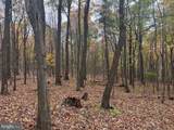 TRACT 2: 30+/- ACRES Coles Valley Rd - Photo 17