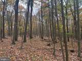 TRACT 2: 30+/- ACRES Coles Valley Rd - Photo 21