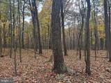 TRACT 2: 30+/- ACRES Coles Valley Rd - Photo 8