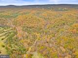 1631 Back Mountain Road - Photo 83