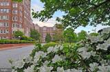 3601 Connecticut Avenue - Photo 29