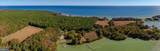 50645 Holly Point Road - Photo 53