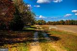 10434 Big Stone Road - Photo 14