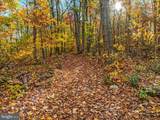 875 Hunter Lane - Photo 59