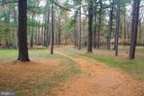 725 Candle Tree Lane - Photo 8