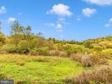10543 Woodsboro Road - Photo 63