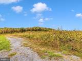 10543 Woodsboro Road - Photo 69